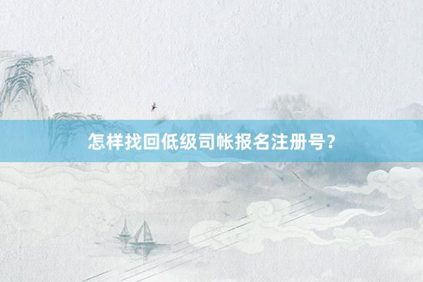 怎样找回低级司帐报名注册号？